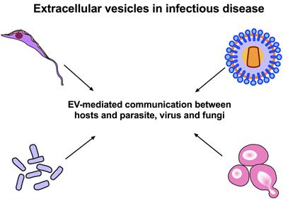 Editorial: Extracellular Vesicles in Infectious Diseases